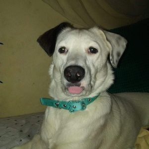 Meet your Posher, Sue